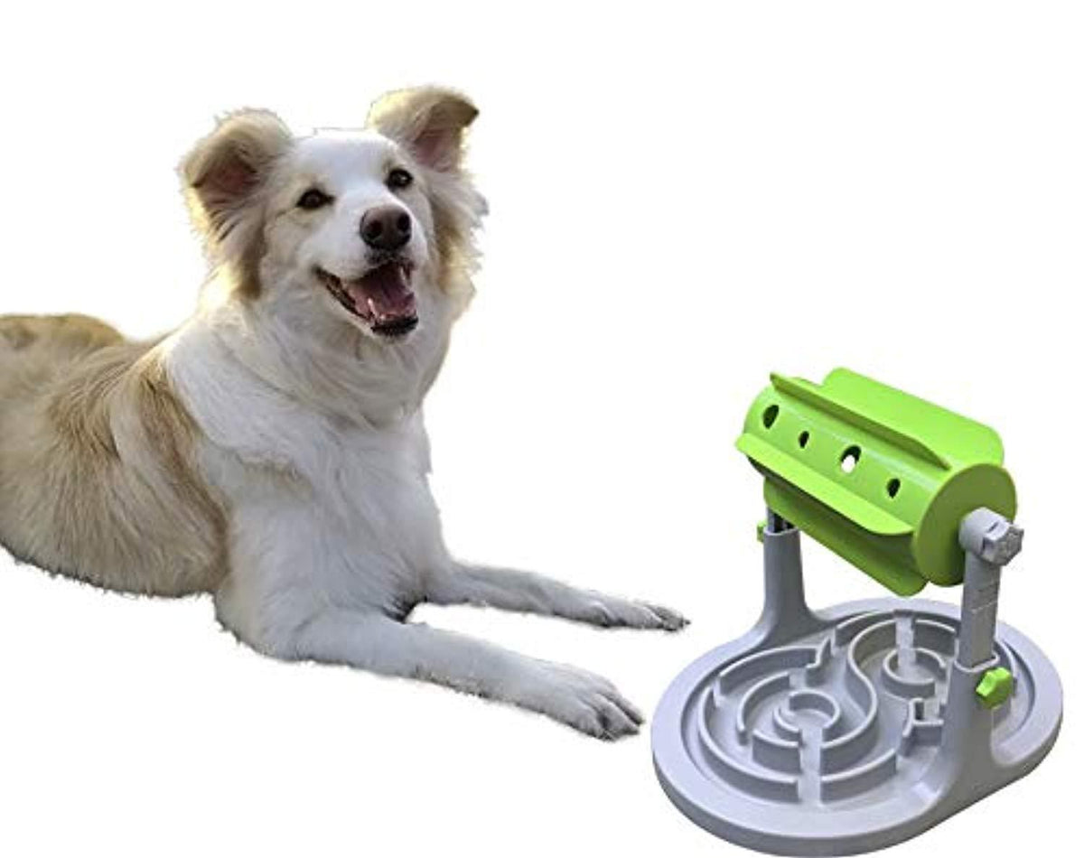 SpeedyPet Interactive Dog & Cat Slow Food Puzzle Feeder